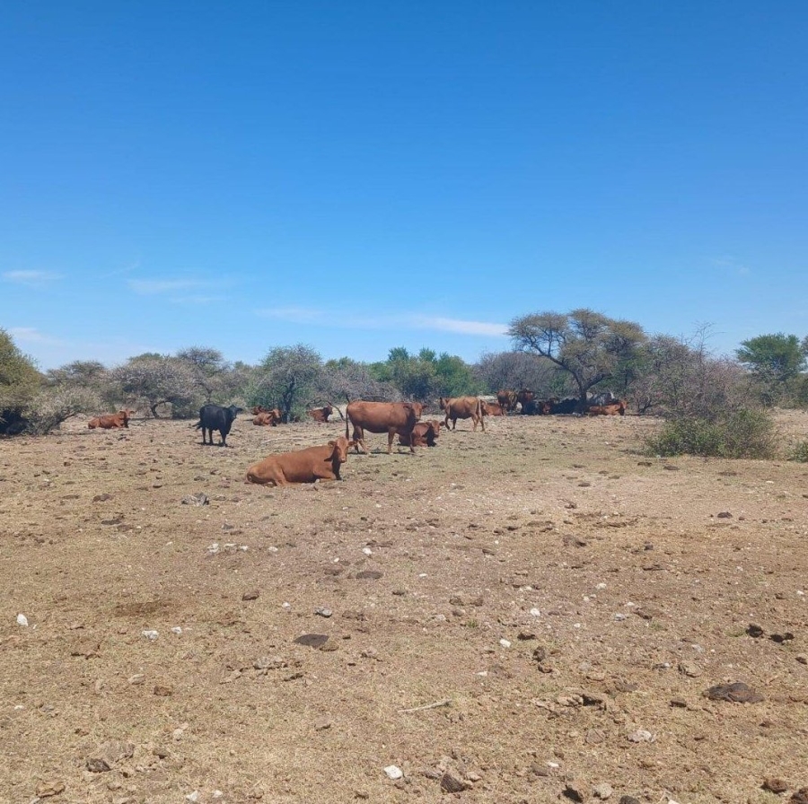 Commercial Property for Sale in Barkly West Rural Northern Cape